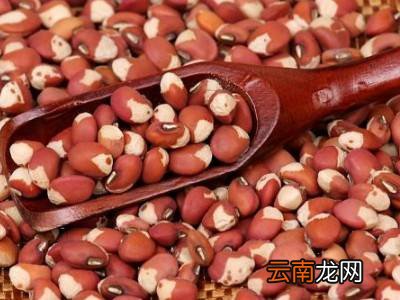 蒸豆包用什么豆
