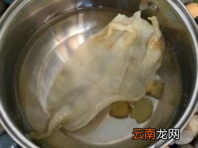 干鱼肚泡发技巧