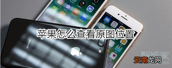 苹果怎么查看原图位置