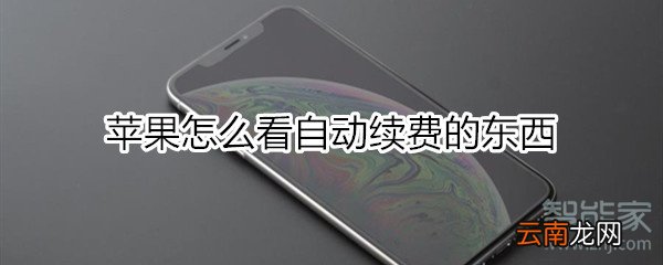 苹果怎么看自动续费的东西