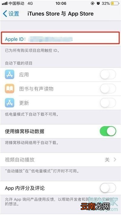 苹果怎么看自动续费的东西