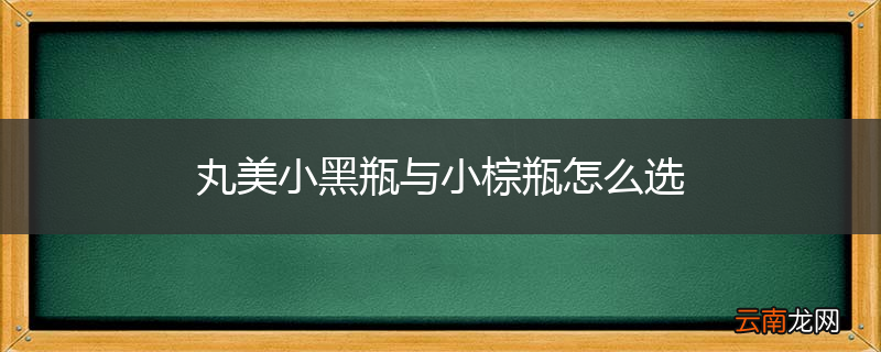 丸美小黑瓶与小棕瓶怎么选