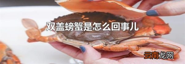 双盖螃蟹是怎么回事儿