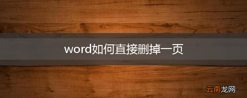 word如何直接删掉一页