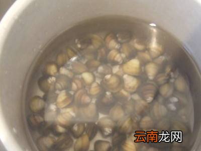 蛤肉怎么处理脏东西