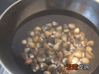 蛤肉怎么处理脏东西