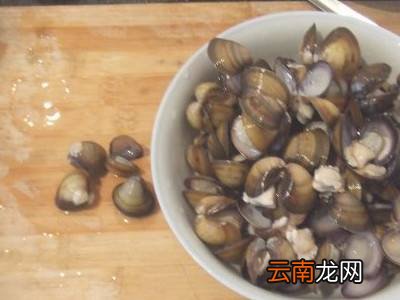 蛤肉怎么处理脏东西