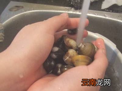 蛤肉怎么处理脏东西
