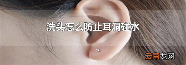洗头怎么防止耳洞碰水