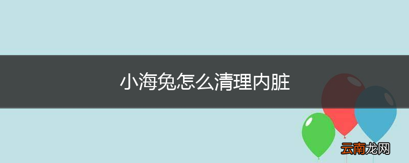 小海兔怎么清理内脏