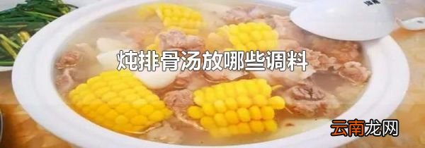 炖排骨汤放哪些调料