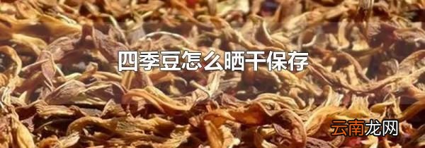 四季豆怎么晒干保存