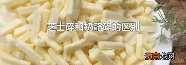 芝士碎和奶酪碎的区别