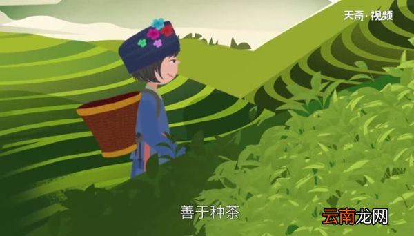 哈尼族的传统节日 哈尼族一年一度的节日叫什么节
