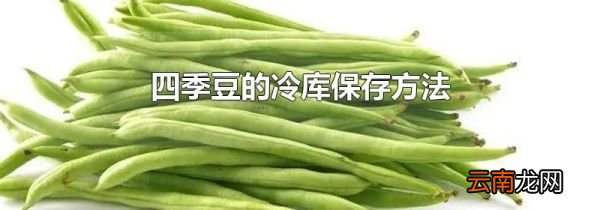 四季豆的冷库保存方法