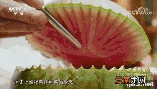 舌尖3种草一口锅是什么梗？舌尖3种草一口锅解释