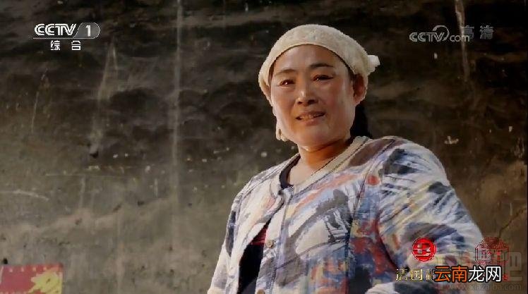 舌尖3种草一口锅是什么梗？舌尖3种草一口锅解释