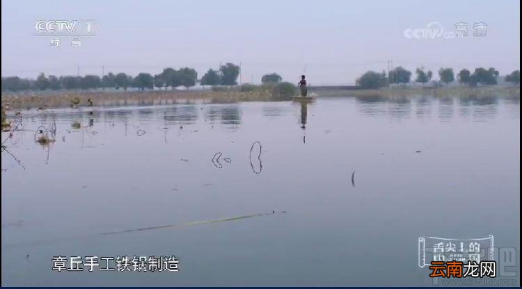舌尖3种草一口锅是什么梗？舌尖3种草一口锅解释