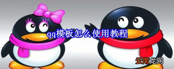 qq模板怎么使用教程