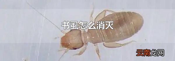 书虱怎么消灭