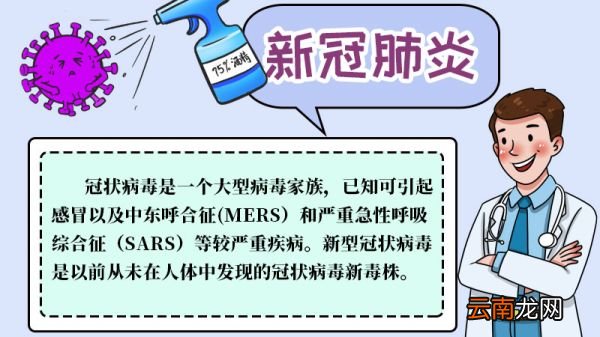 新冠手抄报内容新冠手抄报内容教程