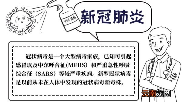 新冠手抄报内容新冠手抄报内容教程