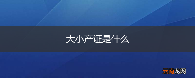 大小产证是什么