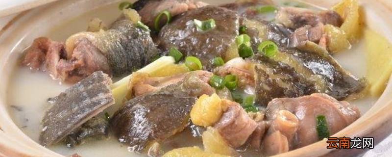 甲鱼炖什么