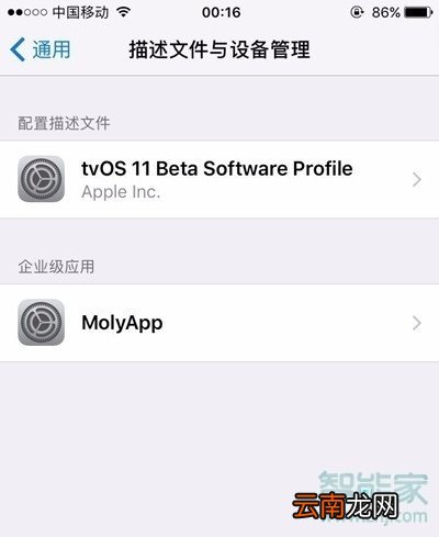 苹果怎样下载两个微信