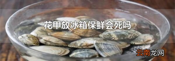 花甲放冰箱保鲜会死吗