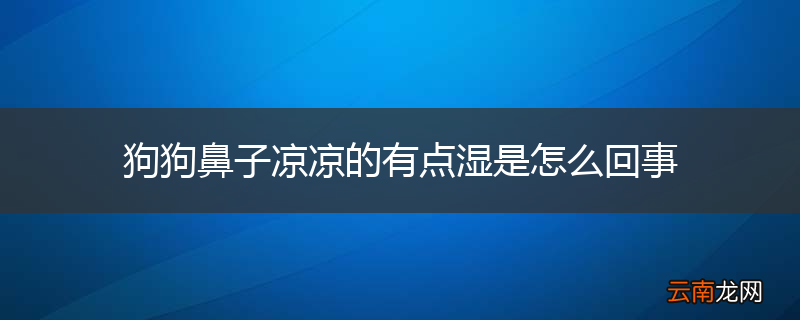 狗狗鼻子凉凉的有点湿是怎么回事