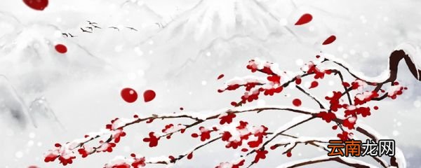 咏雪诗古诗 咏雪诗古诗的简介