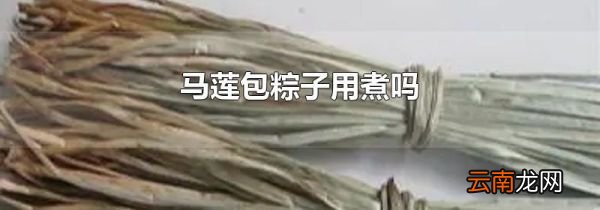 马莲包粽子用煮吗
