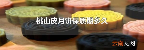 桃山皮月饼保质期多久