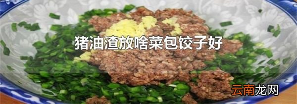 猪油渣放啥菜包饺子好