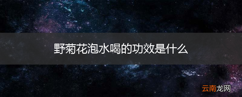 野菊花泡水喝的功效是什么