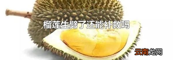 榴莲生劈了还能补救吗