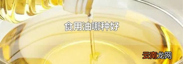 食用油哪种好
