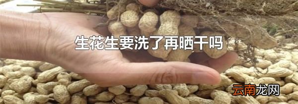 生花生要洗了再晒干吗