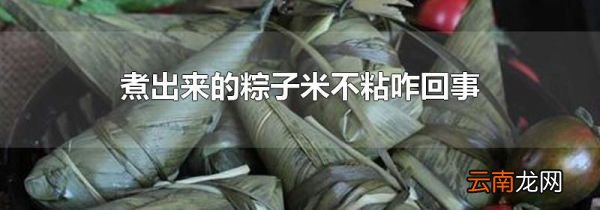 煮出来的粽子米不粘咋回事
