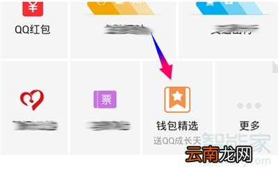 qq的每日一签在哪里