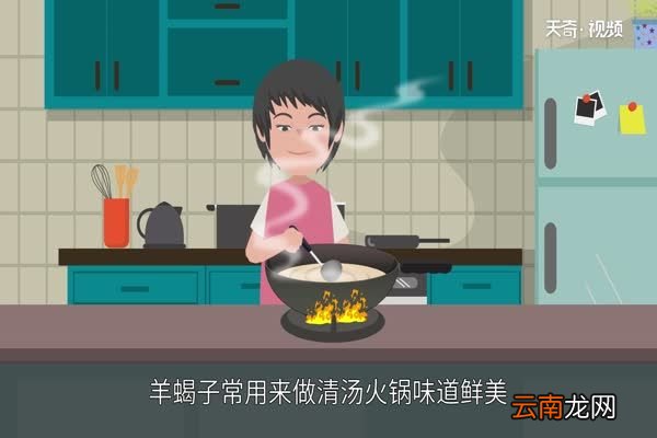 羊蝎子是什么 什么是羊蝎子