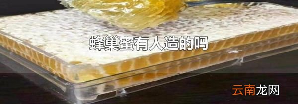 蜂巢蜜有人造的吗