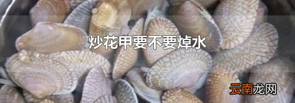 炒花甲要不要焯水