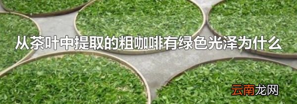 从茶叶中提取的粗咖啡有绿色光泽为什么