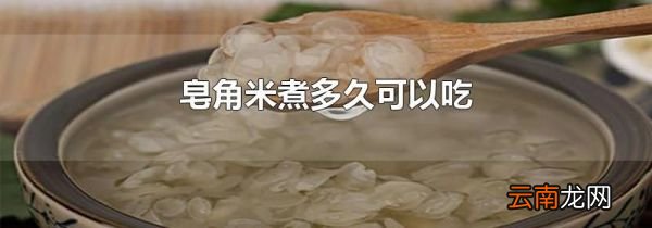皂角米煮多久可以吃