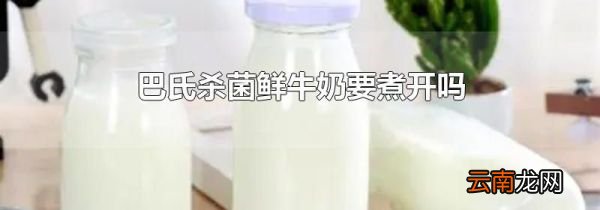 巴氏杀菌鲜牛奶要煮开吗