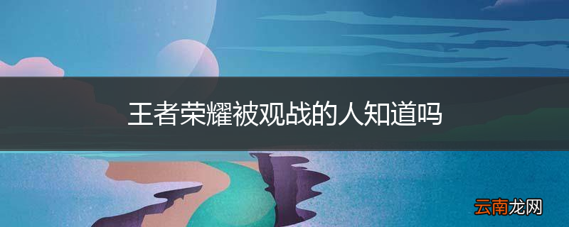 王者荣耀被观战的人知道吗