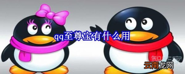 qq至尊宝有什么用