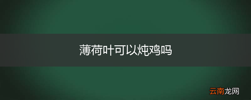薄荷叶可以炖鸡吗